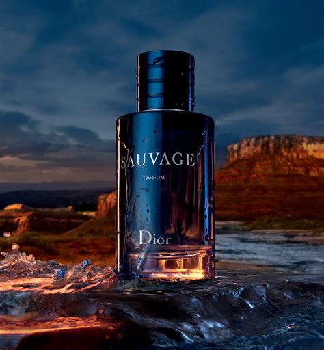 selvagem dior perfume|Dior sauvage for men.